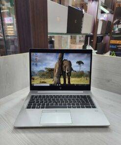 لپ تاپ اچ پی HP EliteBook 745 G6