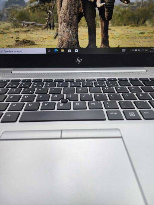 لپ تاپ اچ پی HP EliteBook 745 G6