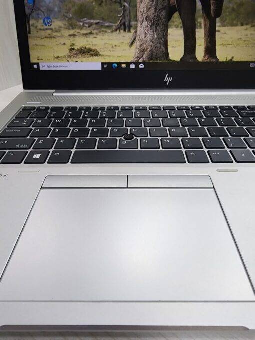 لپ تاپ اچ پی HP EliteBook 755 G5