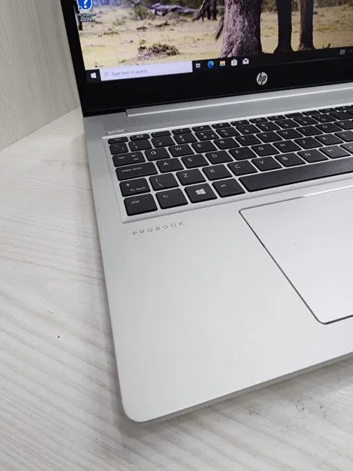 لپ تاپ اچ پی HP Probook450 G6