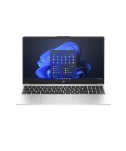 لپ تاپ اچ پی HP G10 255