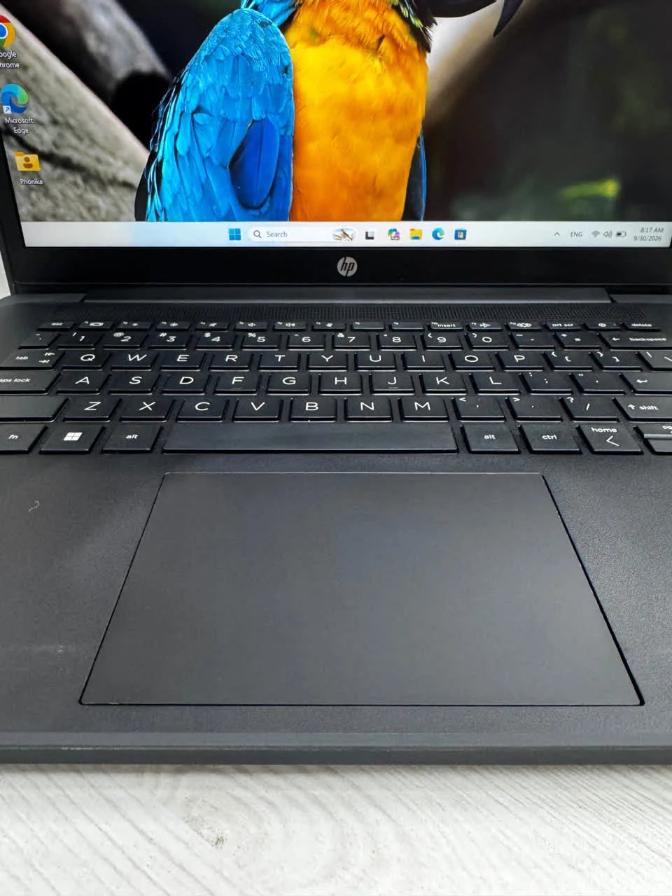 لپ تاپ اچ پی HP ProBook Fortis 14 G10